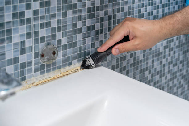 Best Mold Cleaning Services  in India Hook, SC