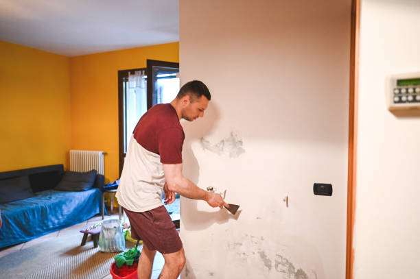 Best Local Mold Removal Service  in India Hook, SC
